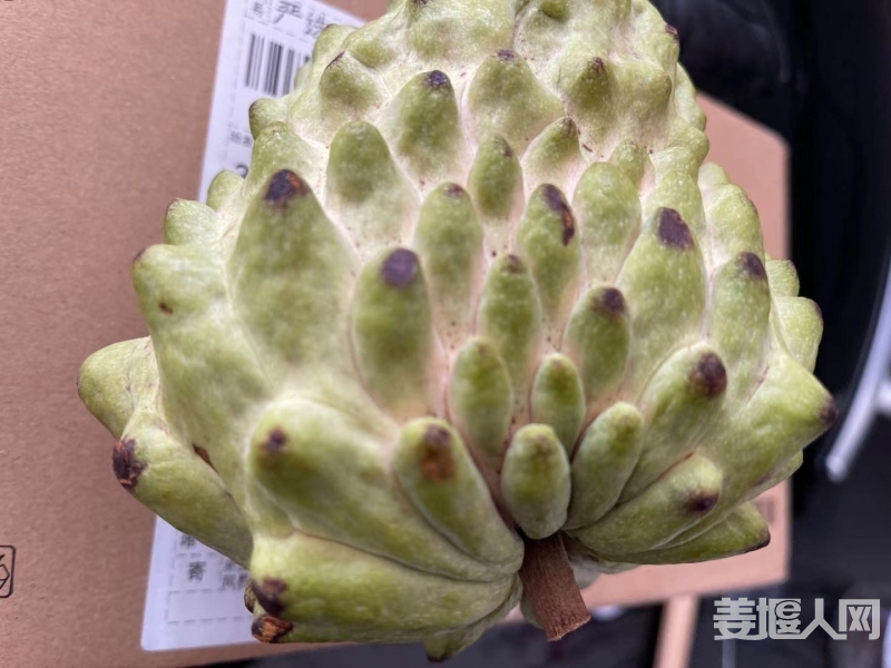 微信图片_20210119083232.jpg
