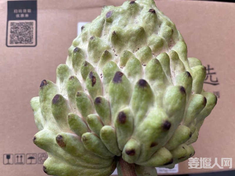 微信图片_20210119083227.jpg