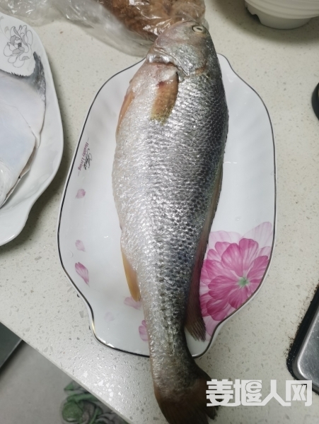 1613012717066660_117.jpg