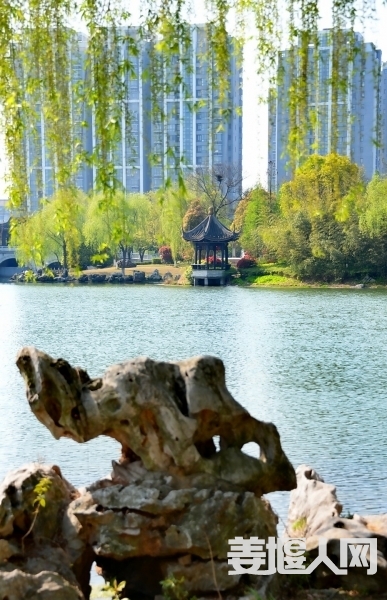 1618040187169888_189.jpg