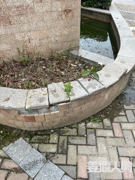162401671729489177.jpg
