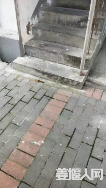 1624276375938103_50.jpg