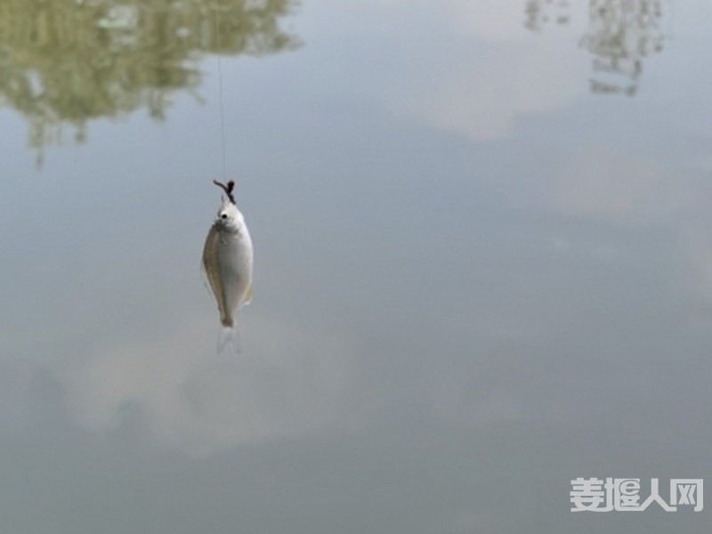 未标题-1.jpg
