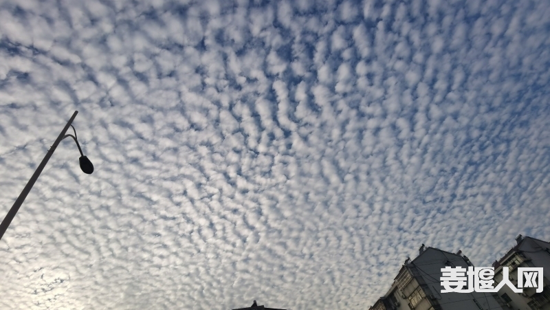 1639987415750705_716.jpg