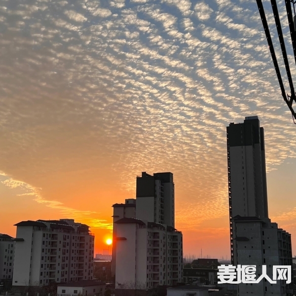 1640607249181923169.jpg