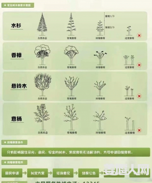 我们认为的修剪