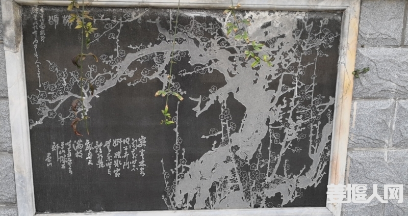 1646441392229420_498.jpg