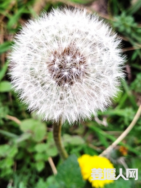 1646982603564773_435.jpg