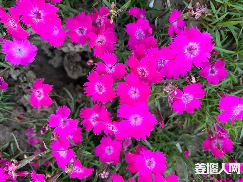 微信图片_20220409115225.jpg