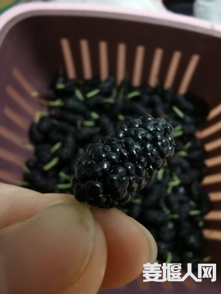 1651668103750872_508.jpg