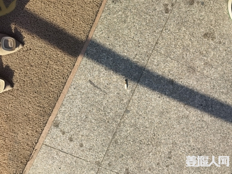 141051diysqgjpgpzizpwy.jpg