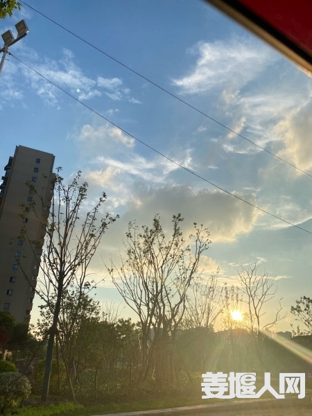 1656413310250512320.jpg