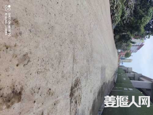 MVIMG_20220813_121924.jpg