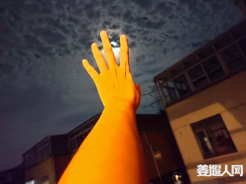 1662819164122480570.jpg