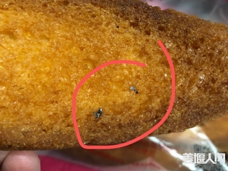 未标题-1.jpg