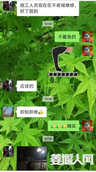 1671110901498271_972.jpg