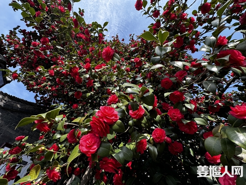 微信图片_20230318202647.jpg