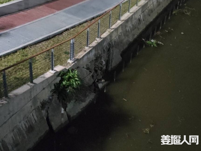 qi_niu_1679835653399_705_705_705 (1).jpg