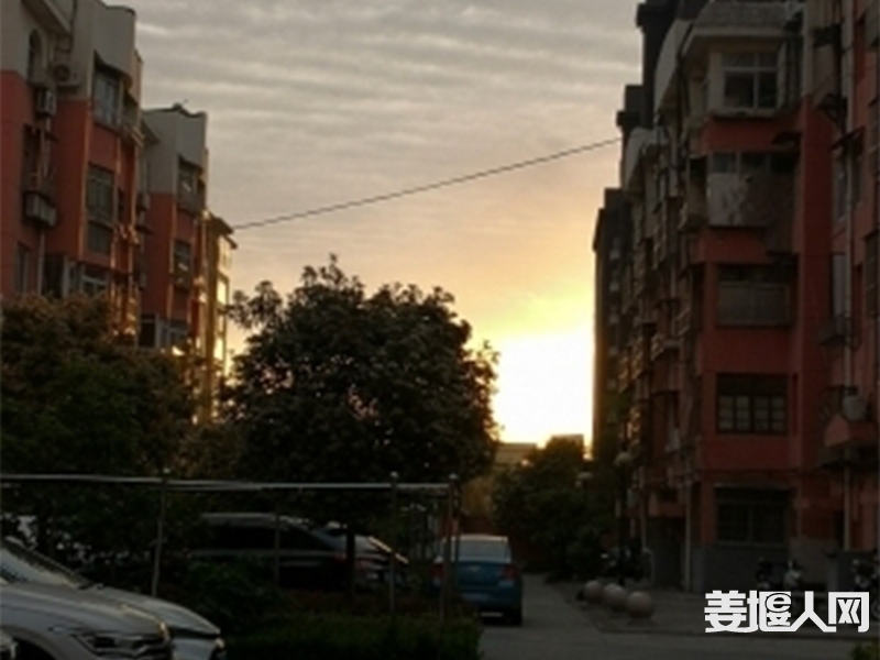 072000bn9w8gunzong8u98.jpg