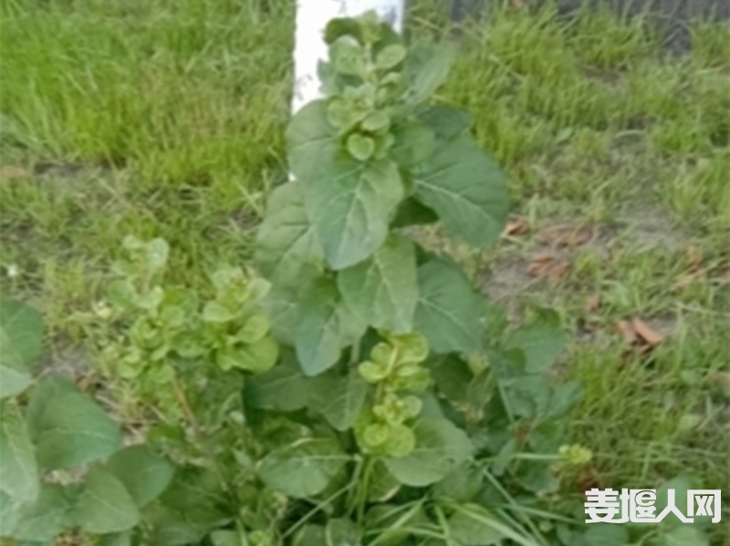 132923yju959ff64554935.jpg