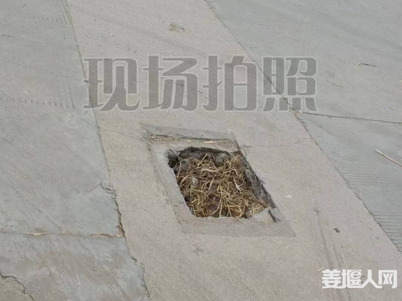 qi_niu_1685496566908_623_623_623.jpg