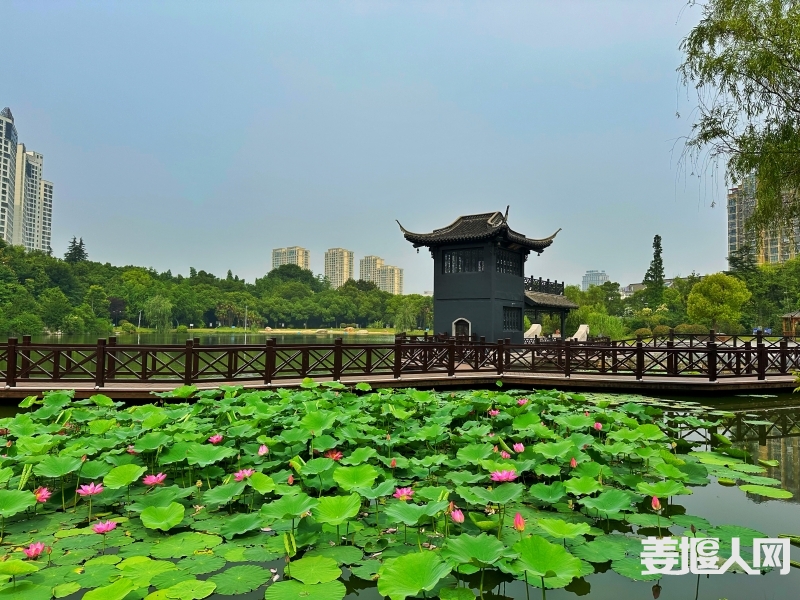 微信图片_20230616090540.jpg