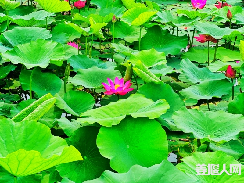 微信图片_20230616090601.jpg