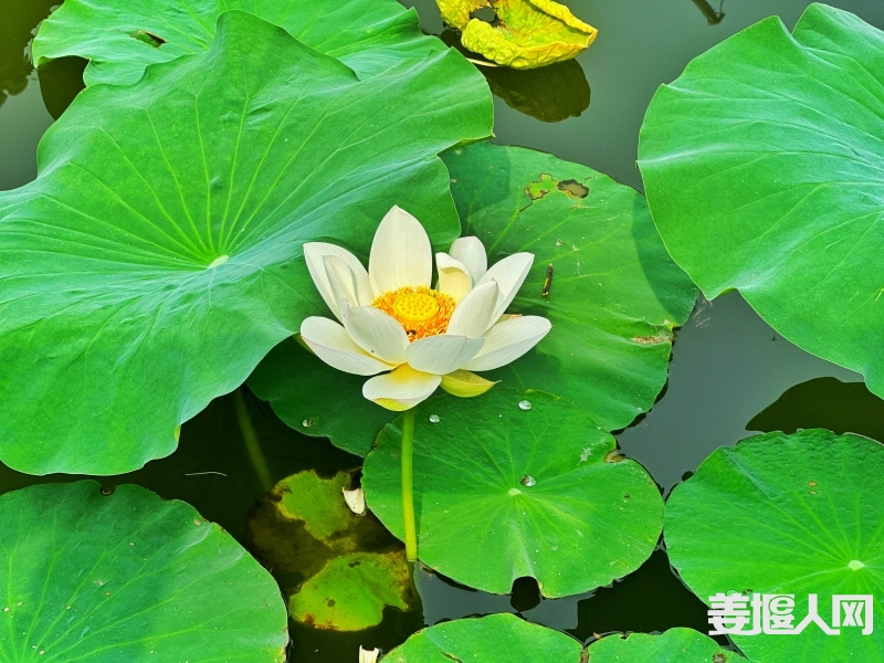 微信图片_20230616090607.jpg