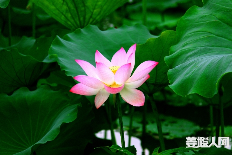 IMG_6179副本2.jpg