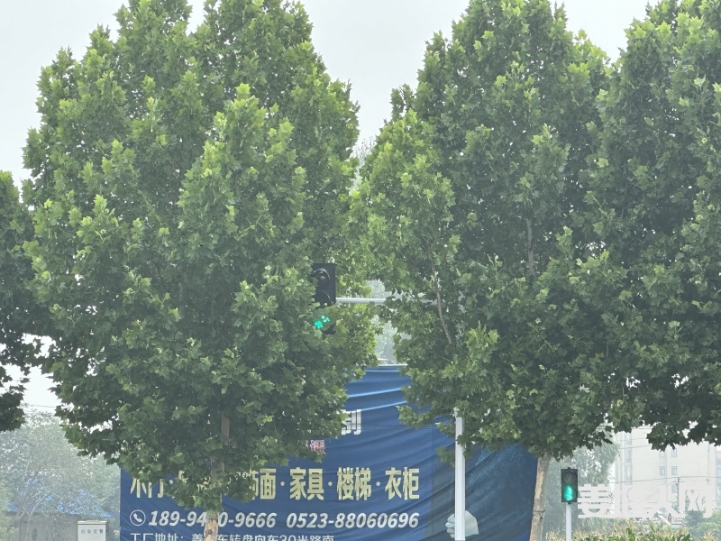 微信图片_20230702100350.jpg