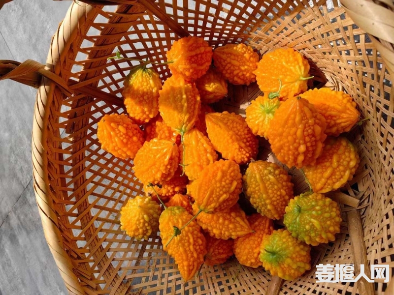 微信图片_20230807114624.jpg