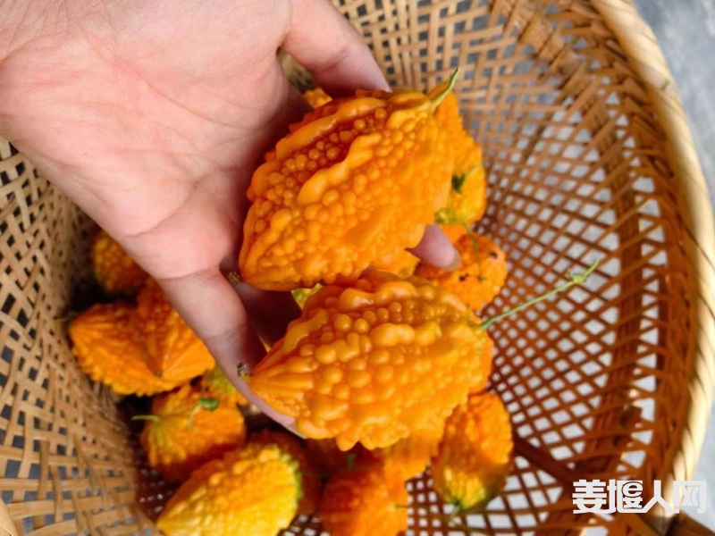 微信图片_20230807114624_1.jpg