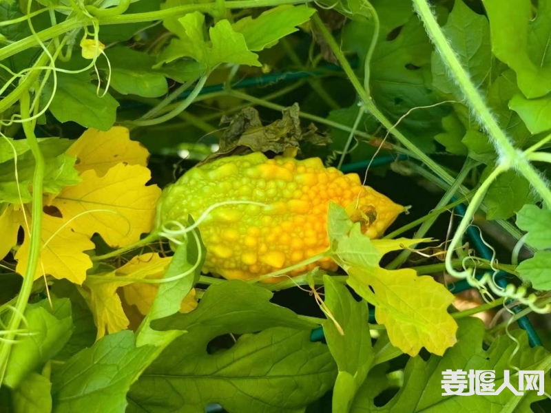 微信图片_20230807114624_2.jpg