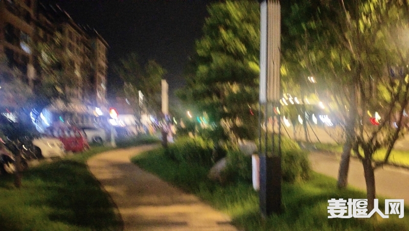 1691708787336476_328.jpg
