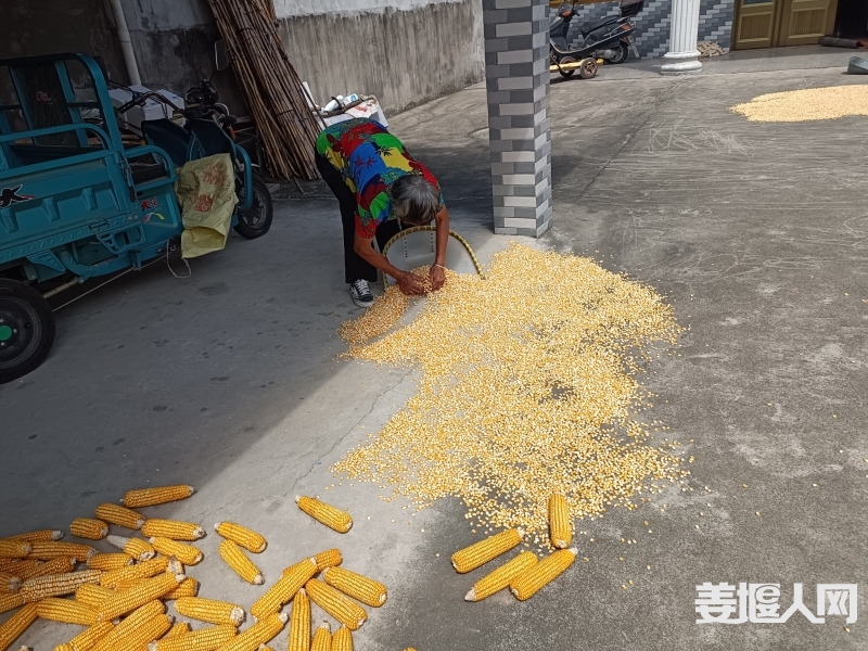 微信图片_20230825162650_1.jpg