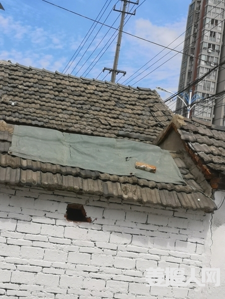 1693712857405715_241.jpg