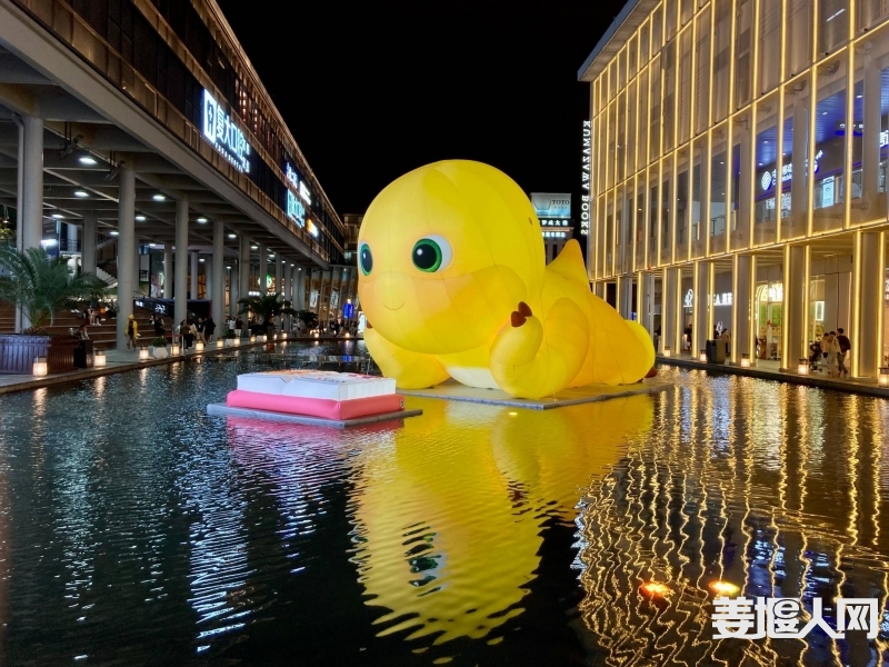 1696380345626037892.jpg