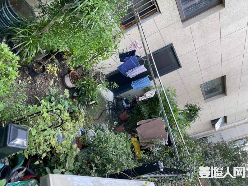 qi_niu_1696990470516_252_252_252.jpg
