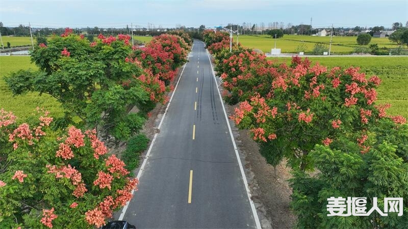 DJI_0339.JPG