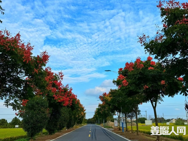 DJI_04412.jpg
