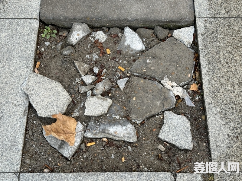 微信图片_20231116094709.jpg