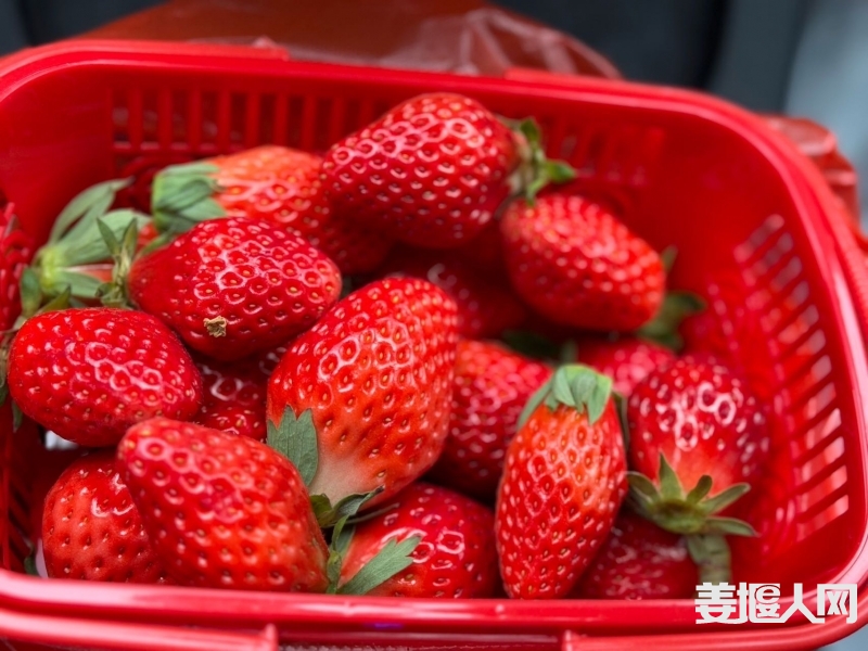 qi_niu_1701270094732_909_909_909.jpg