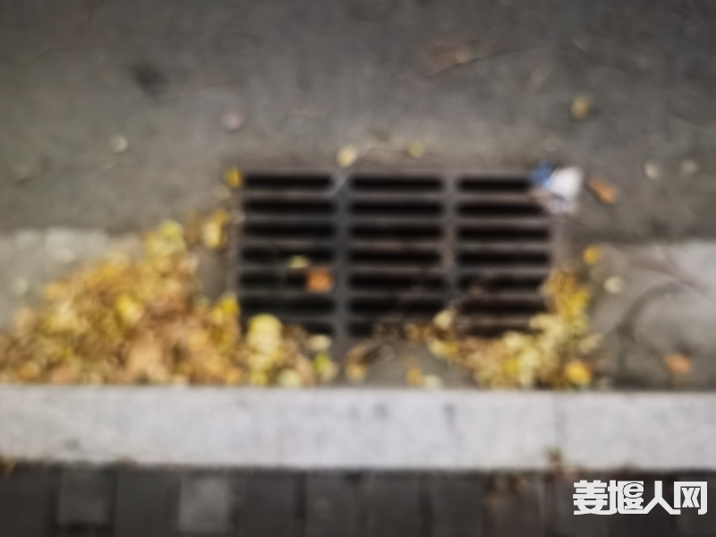 1702560182371111_476.jpg