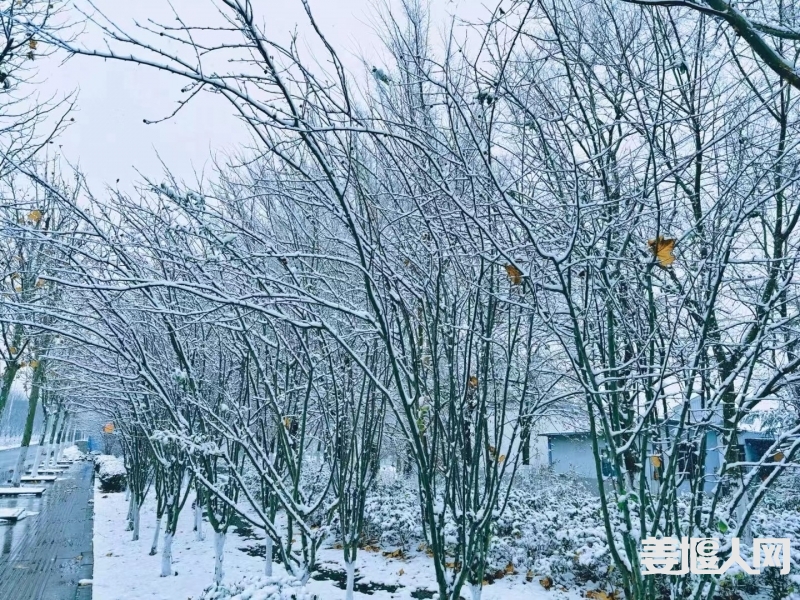 微信图片_20231218133448.jpg