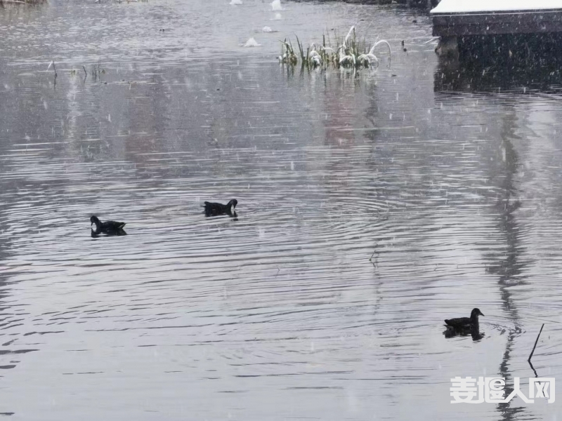 微信图片_20231218133443.jpg