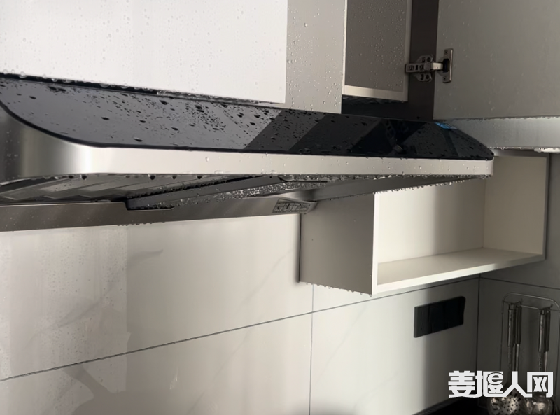 qi_niu_1703682407979_527_527_527.png