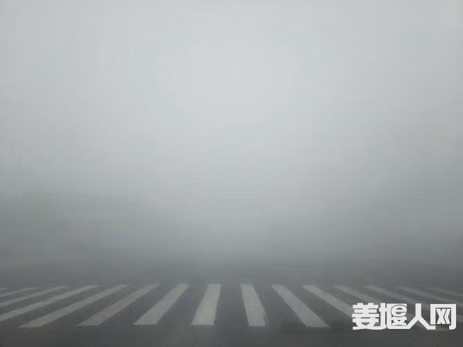 17037169447985174.jpg