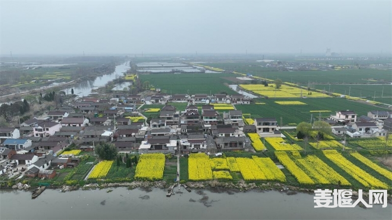 DJI_0779.jpg