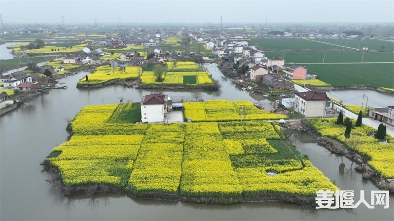 DJI_0769.jpg