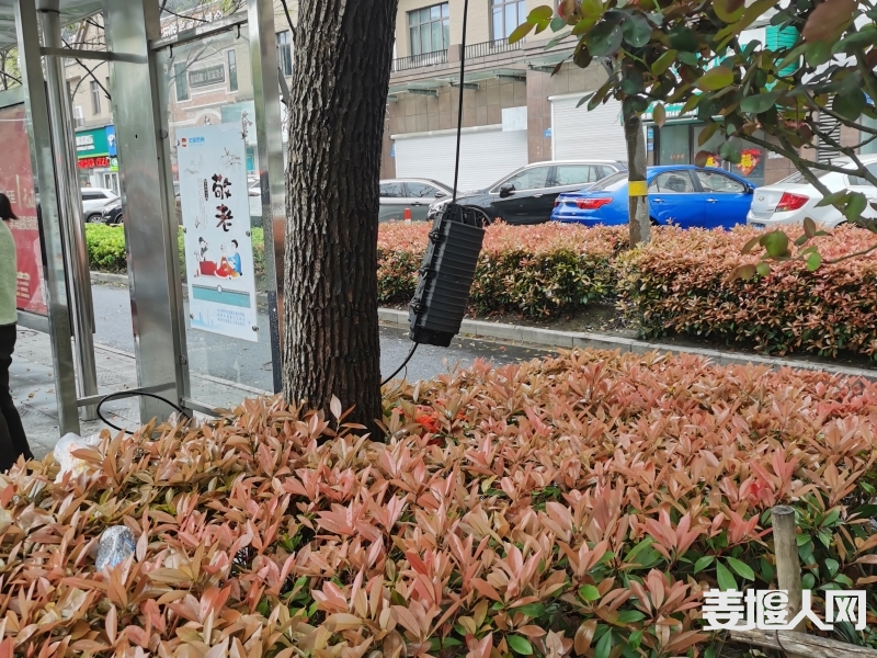 微信图片_20240403141033.jpg
